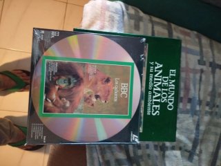 Lote de Discos Vinilo National Geographic y Couste