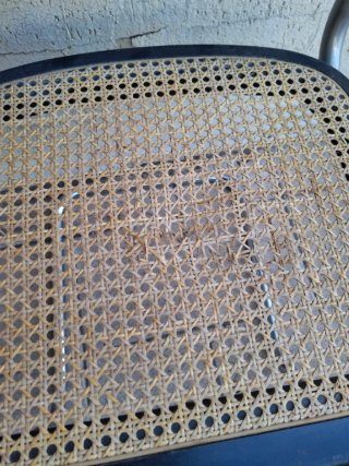 Silla Cesca Vintage para Restaurar