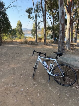 Cannondale CAAD 8 T 54