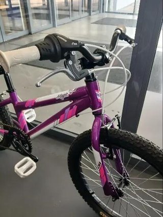 bicicleta Coluer 20"