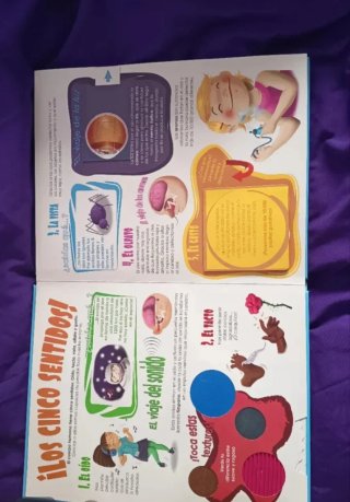 Libro infantil del cuerpo humano