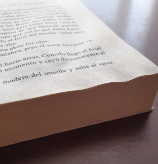 Libro: La razón de estar contigo, un nuevo viaje