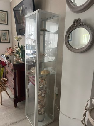Vitrina expositora cristal y metal con todas las c