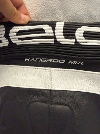 Mono de moto Bela blanco y verde