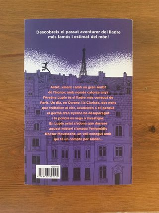 Les Aventures del Joven Lupin Literatura