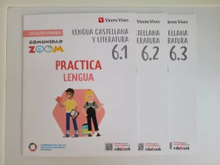 Lengua Castellana y Literatura 6, Practica Lengua