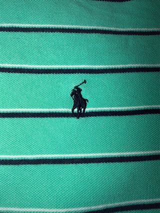 Polo Ralph Lauren Rayas Talla L