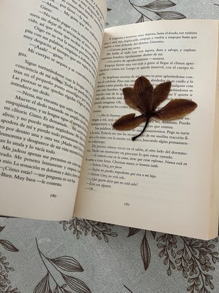 Cincuenta sombras de Grey