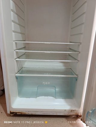 REGALO Nevera Daewoo SIN ENVIO