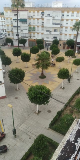 Alquilar