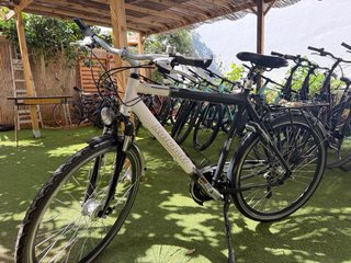 Bicicleta Trekking Kalkhoff XL