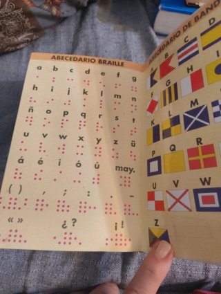 Diccionario esencial Primaria lengua española :...