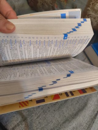 Diccionario esencial Primaria lengua española :...