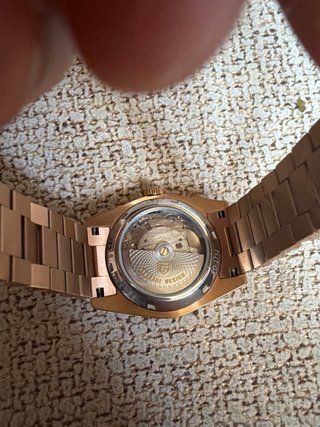 Reloj Pagani Design Dorado Marrón