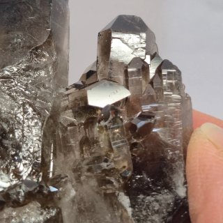 Cuarzo ahumado brillante grupo de cristales Brasil