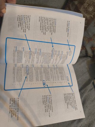 Diccionario Primaria lengua española