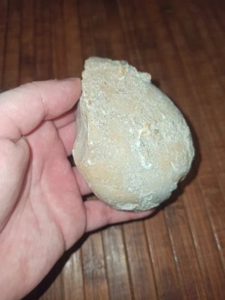 Fósil de piedra tallada