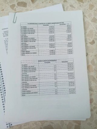 Ley del Ingreso Mínimo Vital
