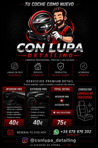 Detailing de Coches a Domicilio//Limpieza Premium