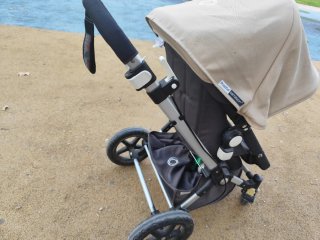 Carrito Bugaboo Camaleón