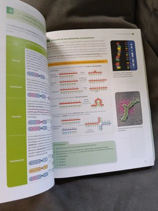 Libro Biología Bachillerato 2 Santillana