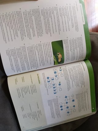 Libro Biología Bachillerato 2 Santillana