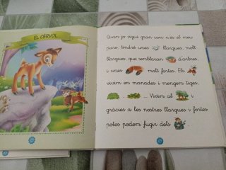 Dos cuentas con pictogramas
