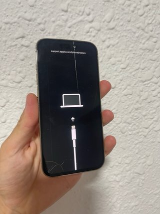 iPhone 14 Pro para piezas