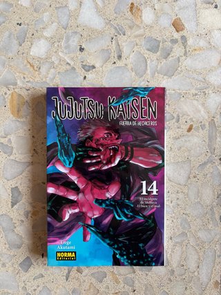 JUJUTSU KAISEN 14