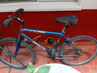 Bicicleta Montaña 26 Alpina