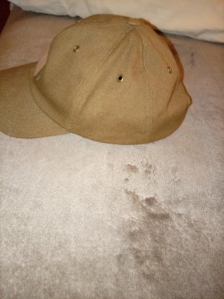 Gorra Scalpers Marrón