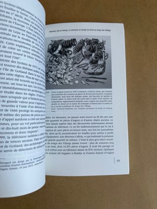 Au temps des Vikings