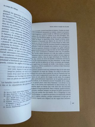 Au temps des Vikings