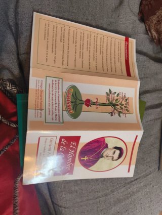 La inteligencia de la Caridad