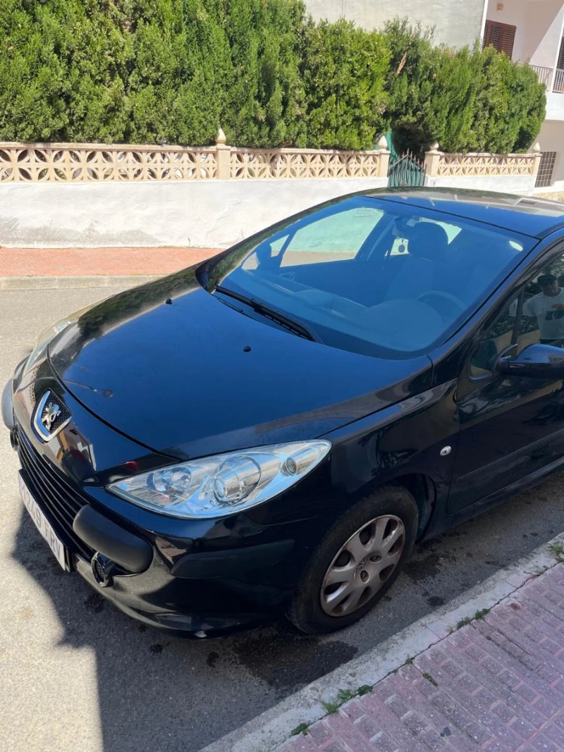Peugeot 307 2007 - foto 1