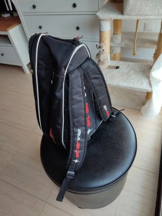 Starvie Raptor Stupa + paletero starvie