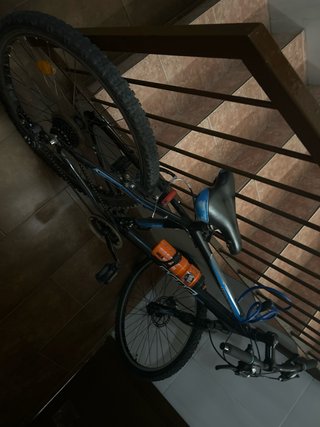 Bicicleta de montaña Berg