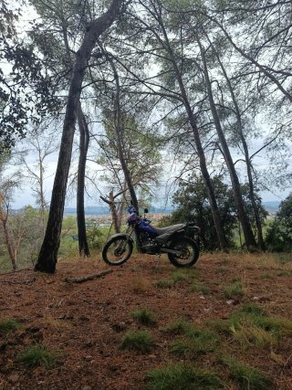 Beta Alp 200 Enduro Moto