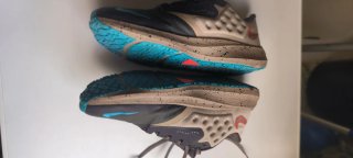 Zapatillas Nike Air Zoom Pegasus 39 Shield