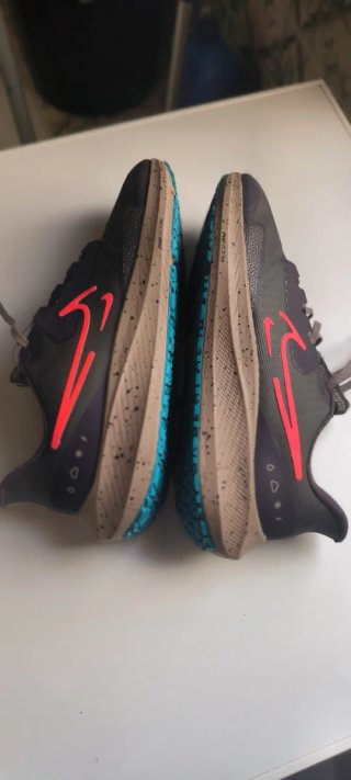 Zapatillas Nike Air Zoom Pegasus 39 Shield