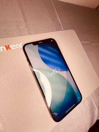 iPhone 12 Pro Max Gris