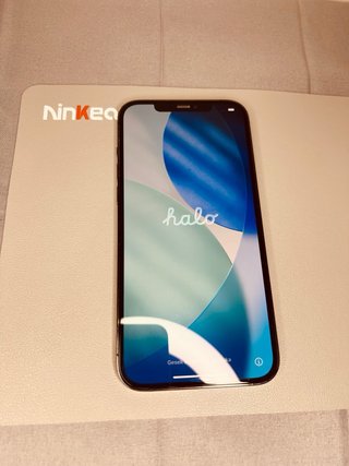 iPhone 12 Pro Max Gris