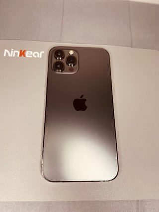 iPhone 12 Pro Max Gris