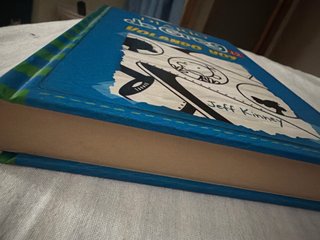 Diario de Greg 12. Volando voy