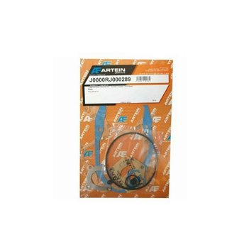 Kit Juntas Completo Rieju RV ARTEIN