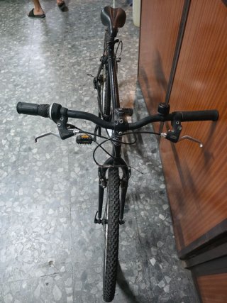 Bicicleta Negra Montaña