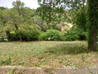 servicios limpieza jardines parcelas y poda
