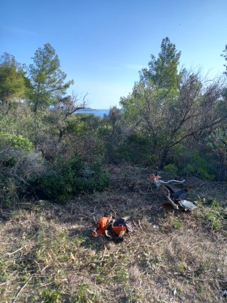 servicios limpieza jardines parcelas y poda