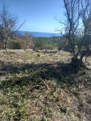 servicios limpieza jardines parcelas y poda
