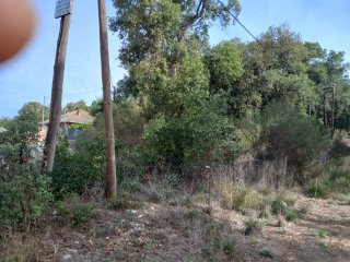 servicios limpieza jardines parcelas y poda